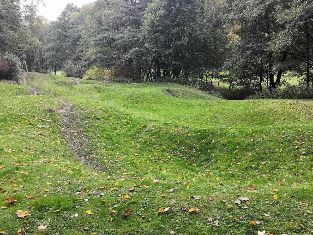 Gemutliche Ferienwohnung D'N Uitkijk - Willingen Willingen  Buitenkant foto