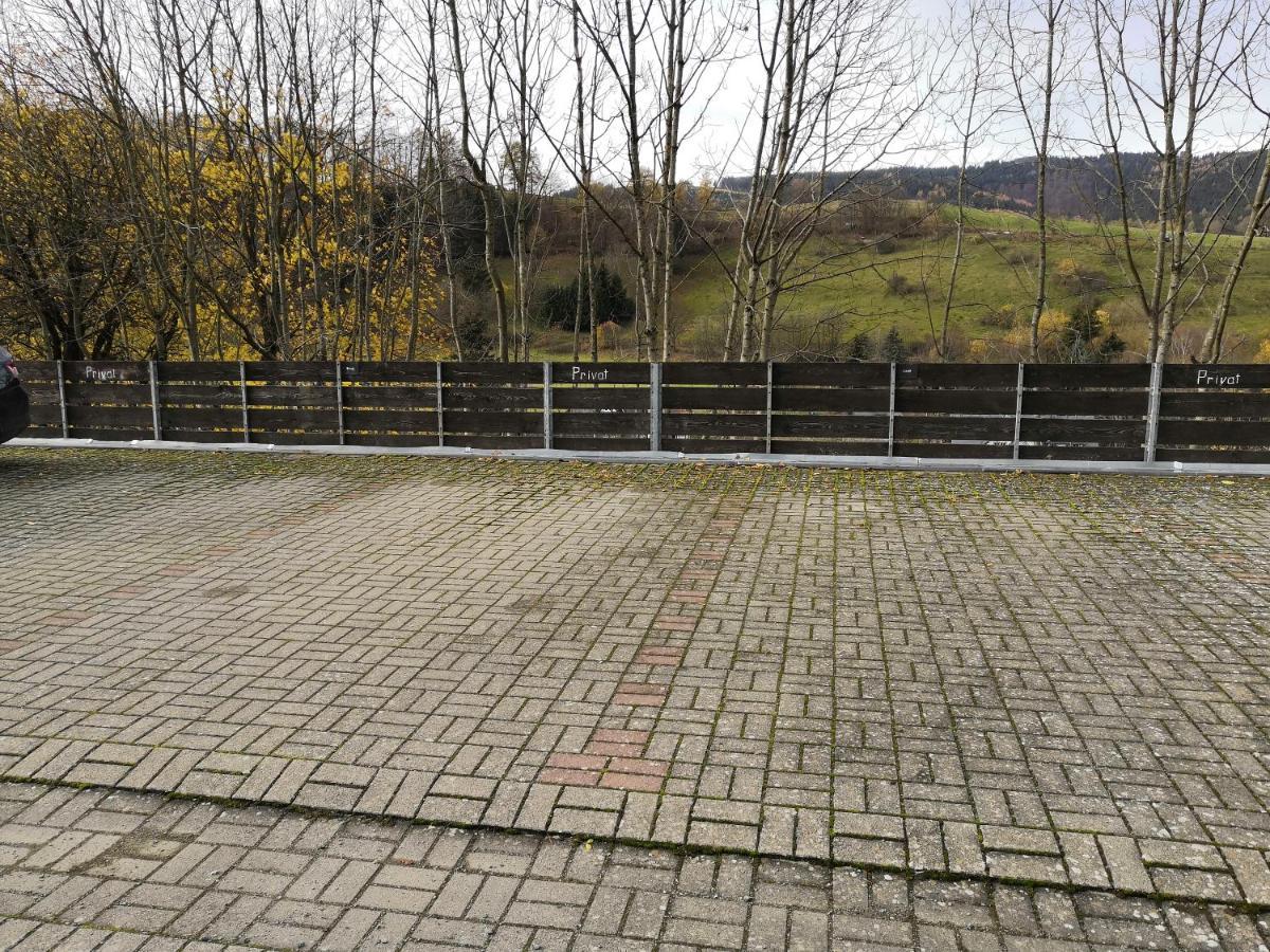Gemutliche Ferienwohnung D'N Uitkijk - Willingen Willingen  Buitenkant foto